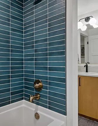 Modern Shower Room Remodeling with Mode Homes